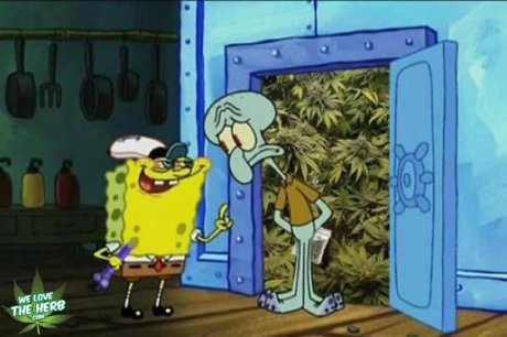 Spongebong