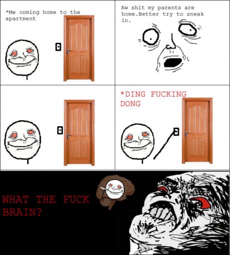 A stoner brain