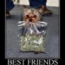Friends Forever
