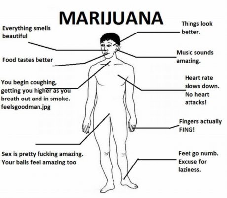 My MaryJane