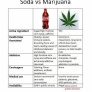 Soda vs Weed