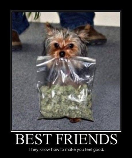 Friends Forever