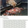 Fishy