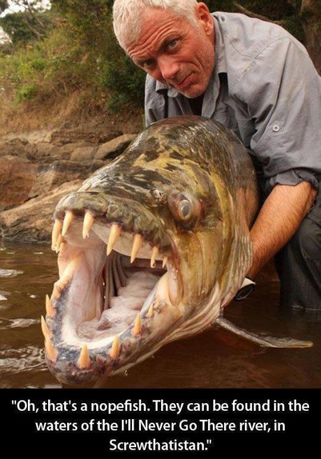 nopefish