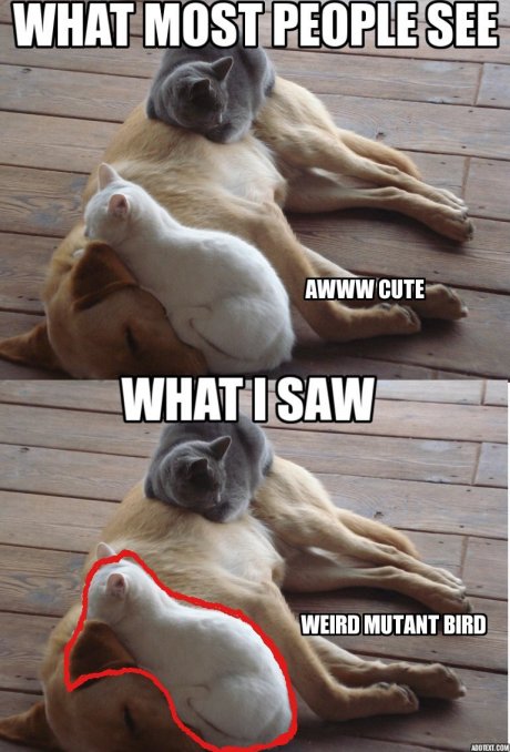 What I see