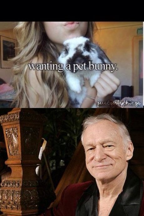 Bunnies
