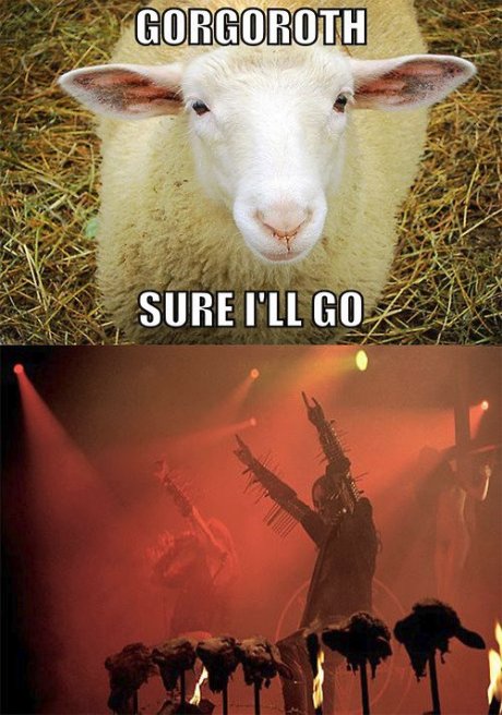 Gorgoroth fans