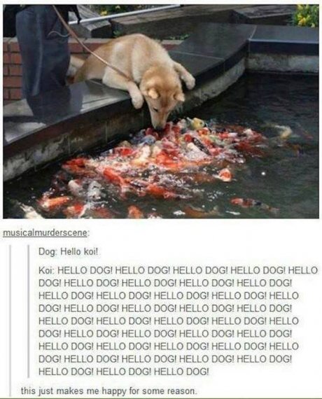 Fishy