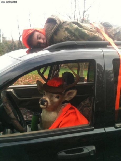 deer hunter