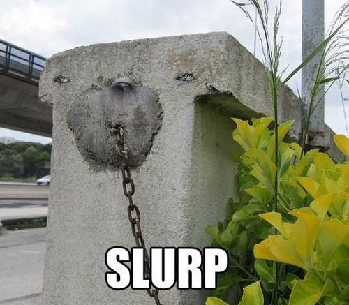 slurp