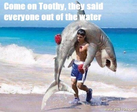 Get out of the water!