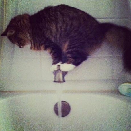 Doesn't like baths.