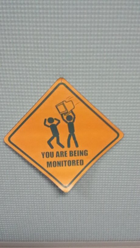 How I View the Government