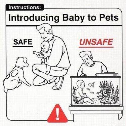 Babies love animals