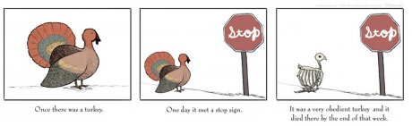 The world needs more turkeys