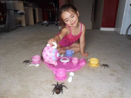nope, nope, nope