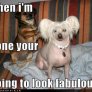 You're going to look FABULOUS!