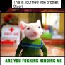 Stuart!