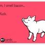 BACON