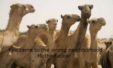 Territorial Carmels