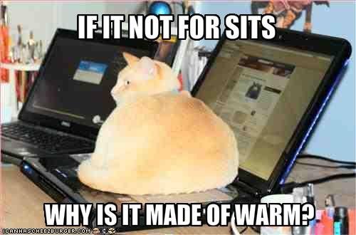 If it not for sits.....