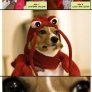 Red Lobster reporting in, over