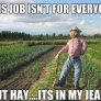 scarecrows