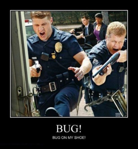 BUG