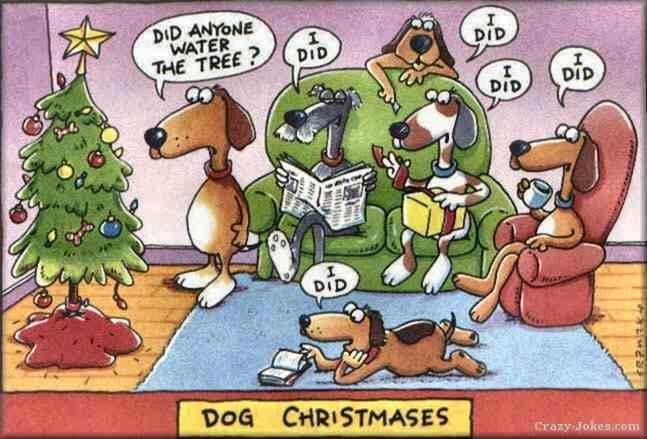 A DOG CHRISTMAS