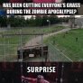 Surprise!!