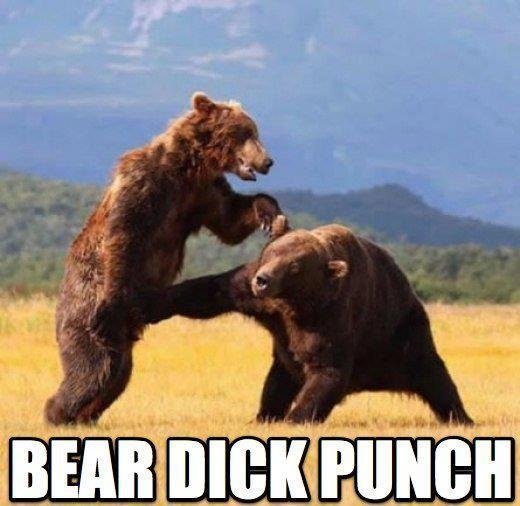 DICK PUNCH