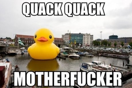 QUACK FUCKNG QUACK