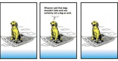 Acid.