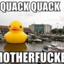 QUACK FUCKNG QUACK