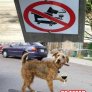 problem officer?