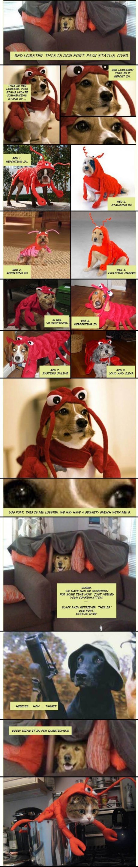 Red Lobster reporting in, over