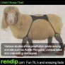 Poor animals...