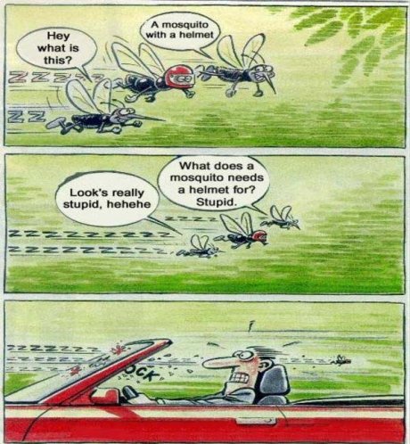 Mosquito cartoon