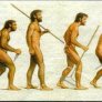 Evolution