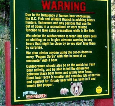 Bear poo