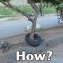 How is this possible?