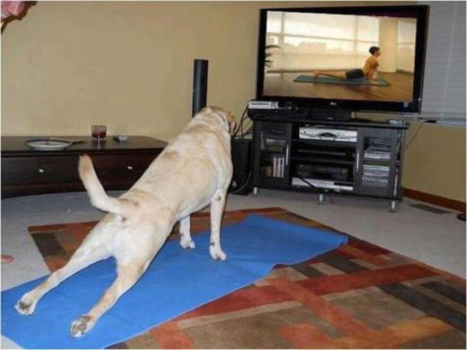 doin' yoga