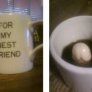 For My Best Friend