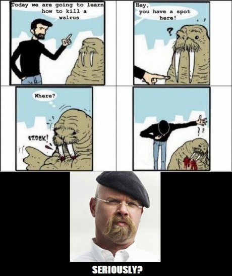 How to kill a walrus