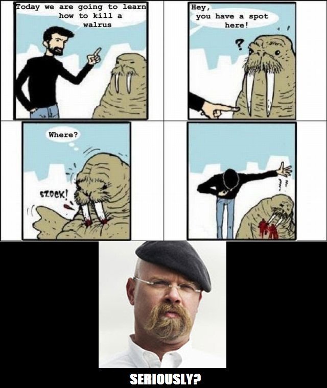 How to kill a walrus