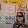 Elecricity vs. Cat