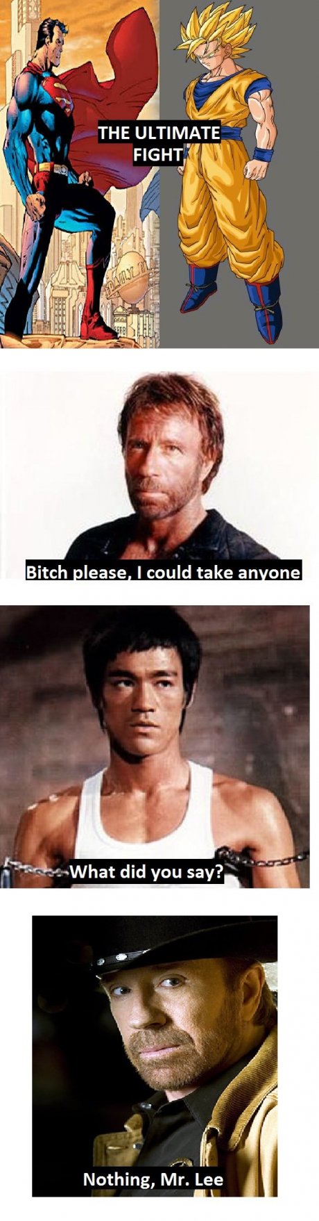 Ultimate fight