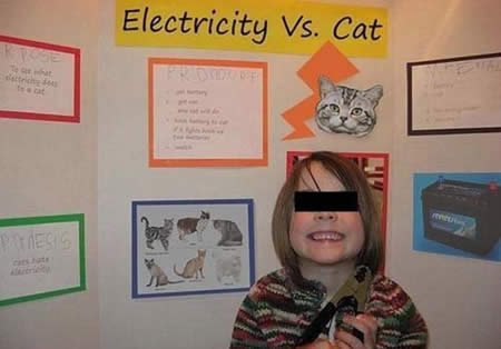 Elecricity vs. Cat
