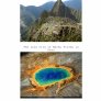 Beautiful World Comp