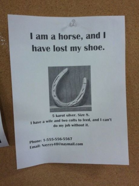 It's amazing what horses can do